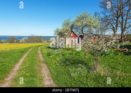 Vista rurale in primavera in una fattoria Foto Stock