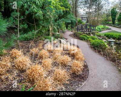 Il Giardino Giapponese in Valley Gardens in primavera Harrogate North Yorkshire Inghilterra Foto Stock