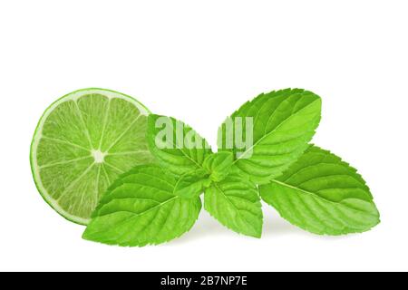 Calce e menta isolate su sfondo bianco Foto Stock