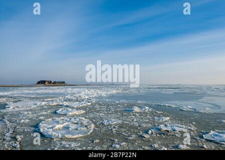 Isola di Hallig Langeness, Mare del Nord, Patrimonio dell'Umanità dell'UNESCO, Frisia del Nord, Schleswig-Holstein, Germania, Foto Stock