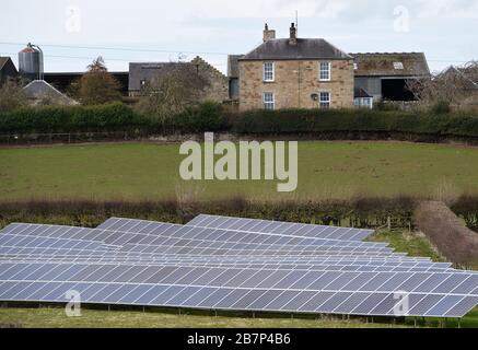 File di pannelli solari in un campo agricolo vicino a Kelso, Scottish Borders, Regno Unito Foto Stock