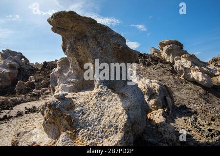 Una roccia originale scolpita dal vento e l'erosione del mare nel Parco Naturale di Cap de Creus. Costa Brava, Girona, Spagna. Foto Stock