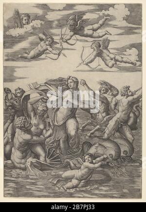 Galatea in piedi in un carro d'acqua trainato da due delfini, circondato da tritoni, nereids, e putti, tre dei quali si preparano a sparare frecce dall'alto, 1515-16. Foto Stock