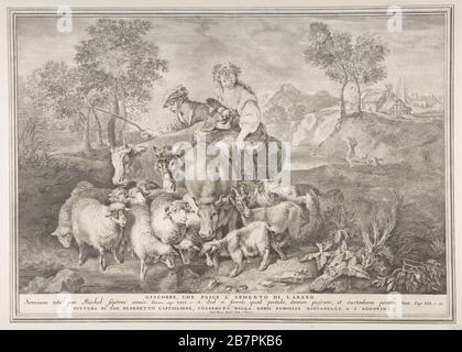 Giacobbe, che pasce l'armeno di Labano, 1743-63. Dopo Giovanni Benedetto Castiglione Foto Stock