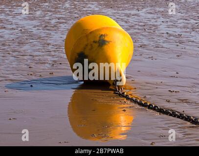 Un segnalino speciale di colore giallo brillante alto e asciutto sul fango accanto al relitto della SS Nornen sulla spiaggia di Berrow sulla costa del Somerset. Foto Stock