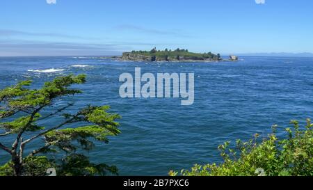 tatoosh isola al largo di cape lusinghiero nella olympic np Foto Stock