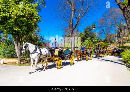 Turisti in carrozza a cavallo nel Parque de María Luisa, Siviglia, Andalusia, Spagna Foto Stock