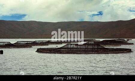 Acquacoltura di salmone atlantico in Tasmania, Australia. Tonalità cromatiche cinematografiche. Foto Stock