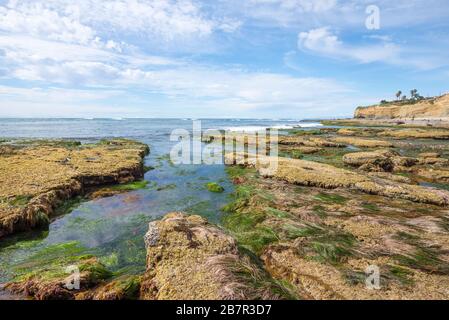 Pomeriggio invernale costiero al Sunset Cliffs Natural Park. San Diego, California, Stati Uniti. Foto Stock