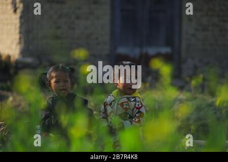 Lalitpur, Nepal. 17 Marzo 2020. Bambini che giocano in un campo di senape di Khokana a Lalitpur, Nepal il martedì 17 marzo 2020. Khokana è conosciuta fin dall'antichità per la produzione di olio di senapa ricco e nominata patrimonio mondiale dell'UNESCO, che rappresenta un villaggio vernacolare e il suo patrimonio industriale di semi di senape. (Foto di Subash Shrestha/Pacific Press) Credit: Pacific Press Agency/Alamy Live News Foto Stock