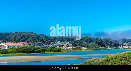 Grande gregge di gabbiani in Crissy Field Marsh di San Francisco, USA Foto Stock