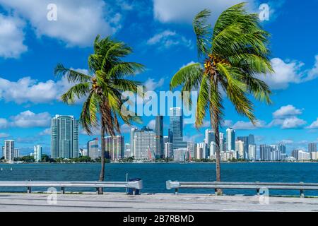 Alti edifici a Brickell, Miami. Foto Stock