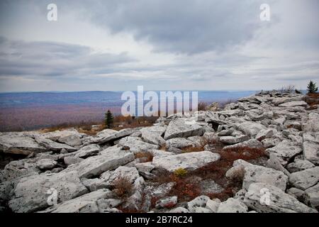 Formazioni rocciose di arenaria lungo il Rocky Ridge Trail a Dolly Sods Wilderness, West Virginia Foto Stock