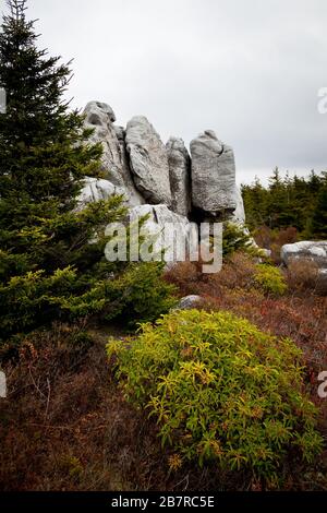 Insolite formazioni rocciose in arenaria, scolpite da vento, ghiaccio e neve, lungo il Rocky Ridge Trail Foto Stock