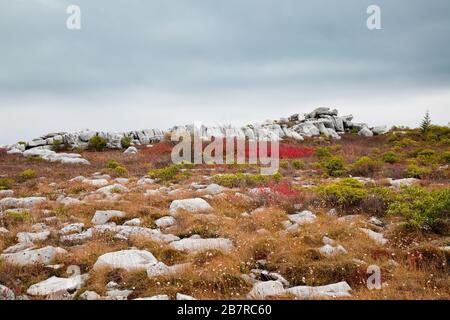 Insolite formazioni rocciose in arenaria, scolpite da vento, ghiaccio e neve, lungo il Rocky Ridge Trail Foto Stock