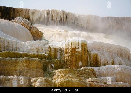 Vicino a una delle cascate termali nelle sorgenti termali di Yellowstone, Mammoth Hot Springs Foto Stock