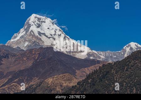 Vista maestosa di Annapurna sud e Himchuli da Poonhill Ghorepani Nepal Foto Stock