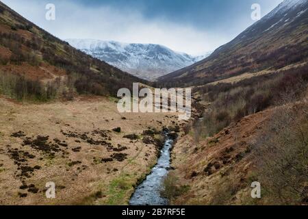 Carrifran Wildwood nel tardo inverno. Moffat Dale, Dumfries & Galloway, Scozia Foto Stock
