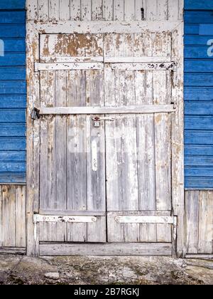 porta chiusa dipinta di bianco con vernice incrinata e fiocchi. sfondo muro in legno blu Foto Stock