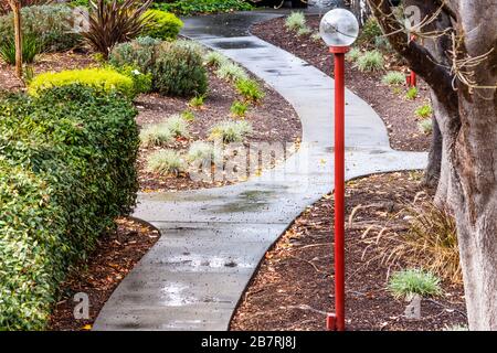 Sentiero lastricato bagnato che attraversa un parco in una giornata piovosa; California Foto Stock