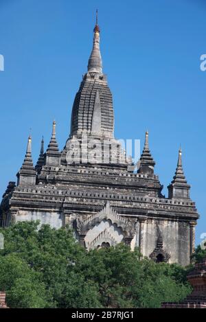 Myanmar: Tempio di Bagan-Shwegugyi, Vista Generale. Costruito nel 1311-1163 d.C. da re Alaungsithu. Vista più vicina da ovest Foto Stock