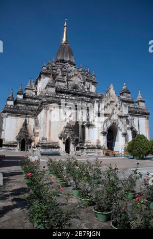 Myanmar: Tempio di Bagan- Daw Palin Phaya, Vista Generale 1203 d.C. Foto Stock