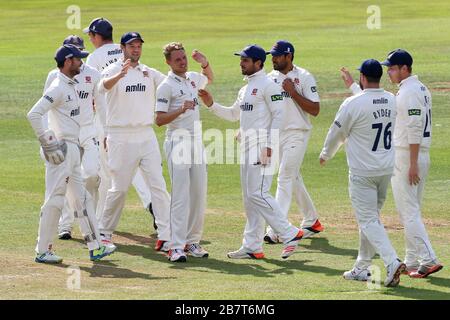 Jamie Porter di Essex CCC (C) si congratula con i suoi compagni di squadra dopo aver preso il wicket di Wes Durston Foto Stock