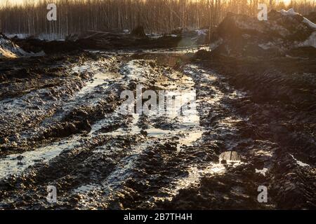 c'è molta sporcizia su una foresta o su una strada di campo, è impossibile guidare, una giovane foresta di betulla è lontana, e c'è neve rimane sui bordi Foto Stock