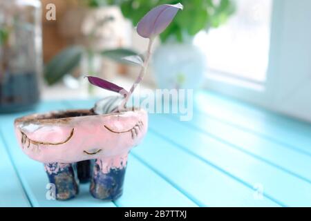 Vaso di argilla fatto in casa. Una pianta cresce in un piccolo vaso di ceramica. Ricoperta di rosa e blu. Sfondo Foto Stock