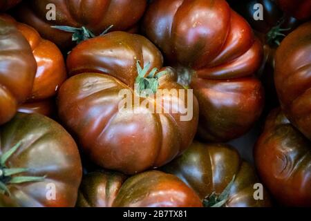 Un primo piano dei pomodori Black Krim Heirloom Foto Stock