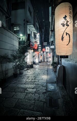 Vista notturna di Hozenji Yokocho, un vicolo stretto in Namba, Osaka, Giappone. Foto Stock