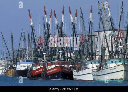 Port Isabel, Texas USA: Barche di gamberi legate al molo sulla costa del Golfo del Texas. ©Bob Daemmrich Foto Stock