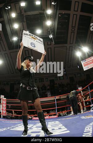 Ring girl - Boxing a York Hall, Bethnal Green promosso da Hennessy Sports Foto Stock