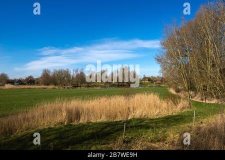 Porrendeich comunità, paesaggio e penisola Eiderstedt, Frisia settentrionale, Schleswig-Holstein, Germania settentrionale, Europa centrale Foto Stock