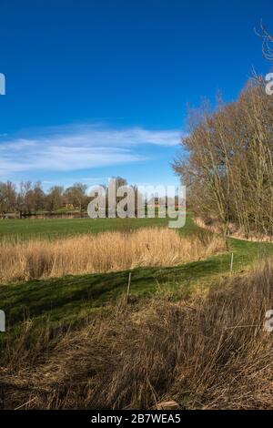 Porrendeich comunità, paesaggio e penisola Eiderstedt, Frisia settentrionale, Schleswig-Holstein, Germania settentrionale, Europa centrale Foto Stock