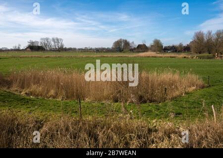 Porrendeich comunità, paesaggio e penisola Eiderstedt, Frisia settentrionale, Schleswig-Holstein, Germania settentrionale, Europa centrale Foto Stock