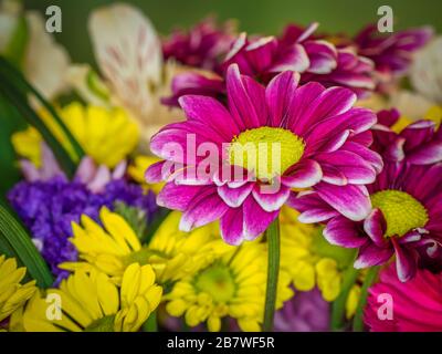 Primo piano di mazzo di bellissimi fiori colorati Foto Stock