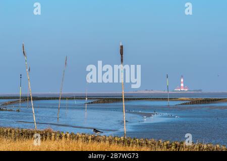 Tümmlauer Koo con faro Westerhoverland, paesaggio e penisola Eiderstedt, Frisia settentrionale, Schleswig-Holstein, Germania settentrionale, Europa centrale Foto Stock