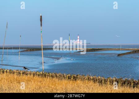 Tümmlauer Koo con faro Westerhoverland, paesaggio e penisola Eiderstedt, Frisia settentrionale, Schleswig-Holstein, Germania settentrionale, Europa centrale Foto Stock