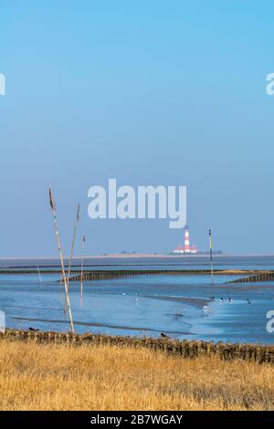 Tümmlauer Koo con faro Westerhoverland, paesaggio e penisola Eiderstedt, Frisia settentrionale, Schleswig-Holstein, Germania settentrionale, Europa centrale Foto Stock