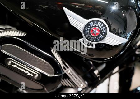 Bordeaux , Aquitaine / Francia - 02 11 2020 : Harley-Davidson Moto dettaglio serbatoio Logo moto noi marchio Foto Stock