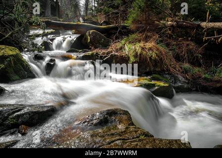 Ilsenburg, Deutschland. 15 Mar 2020. 15.03.2020, la cascata dell'Ilse in Ilsenburg in uno stucco foresta nel nord Harz. Foto con esposizione prolungata di acqua in corso con filtro ND. L'Ilse è un affluente orograficamente destro dell'Oker in Sassonia-Anhalt e bassa Sassonia lungo 42.9 km. Scorre nelle pendici di Harz e di Harz settentrionale. | utilizzo nel mondo credito: dpa/Alamy Live News Foto Stock