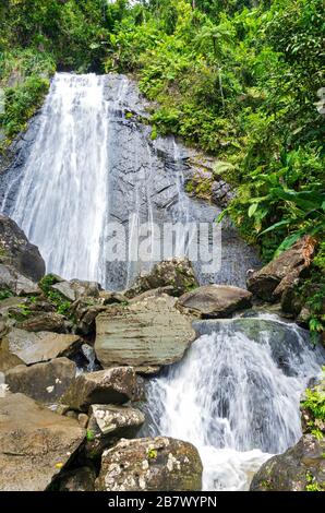 la coca cade della foresta nazionale di el yunque a puerto rico Foto Stock