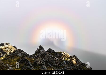 Gloria arcobaleno, fenomeno naturale, su una cima di montagna in nebbia densa a Glen Coe, Scozia. Foto Stock