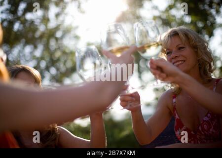 Gruppo di donna tostare i bicchieri di vino seduti fuori. Foto Stock