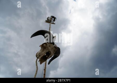 Cranio perfettamente imitato fotografato in una giornata nuvolosa in un festival medievale in Germania Foto Stock