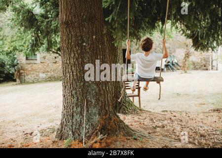 Vista posteriore del ragazzo su swing sotto gli alberi Foto Stock