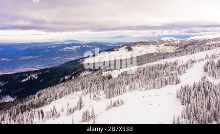 Vista aerea della coperta di neve foresta al tramonto, Vitosha, Bulgaria. Foto Stock