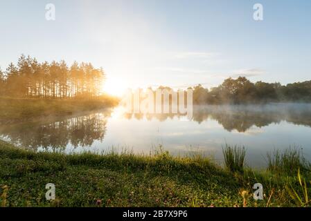 Nebbia mattutina sul lago di foresta, sunrise shot. Foto Stock