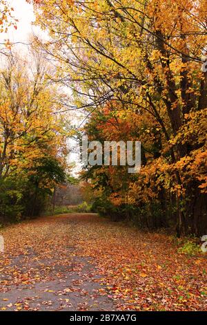 Autunnale Foliage Street Scene in Upstate NY Foto Stock